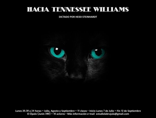 heidi-steinhardt-tennessee-williams